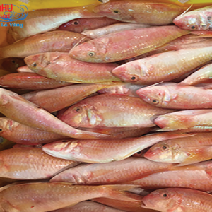 Cá Hồng Phèn Vừa có thịt thơm ngon, béo ngậy lại ngọt ngào