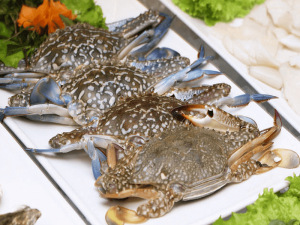 Các loại ghẹ trên thị trường hiện nay