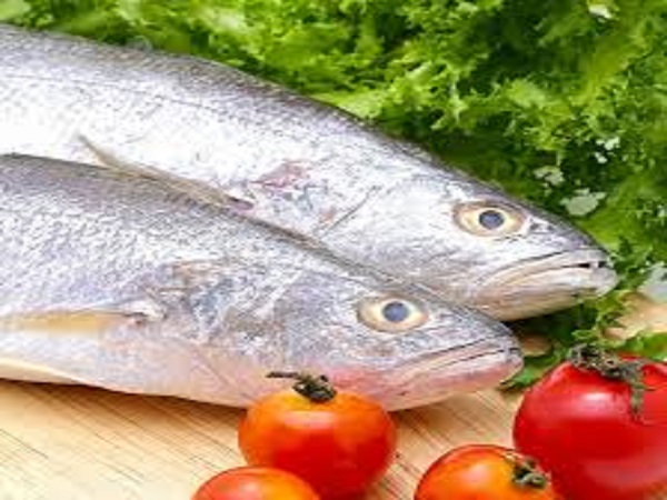 Giá trị dinh dưỡng của cá lanh 