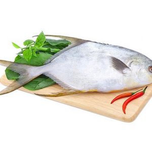Nguồn gốc xuất xứ của cá chim trắng tươi
