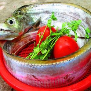 Cá hố có giá trị dinh dưỡng gì?