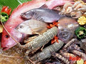 Tư vấn địa chỉ bán hải sản tươi sống tại Hà Nội uy tín
