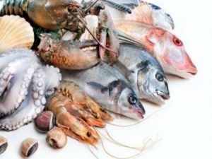 Kinh nghiệm chọn hải sản tươi ngon không độc hại không hóa chất